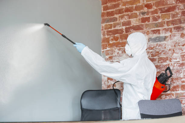 Reliable Baker City, OR Mold Removal Solutions