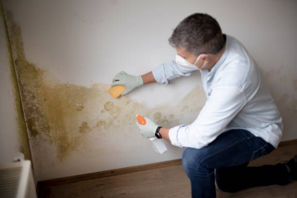 Best Airborne Mold Testing  in Baker City, OR
