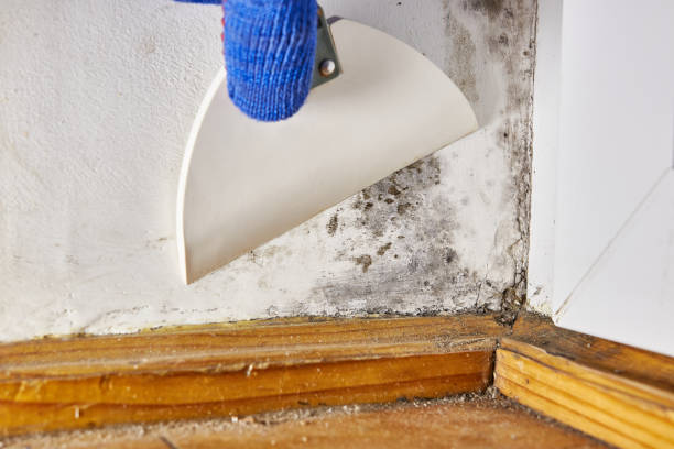 Dehumidification Services in Baker City, OR